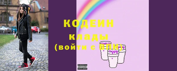 МДПВ Инсар