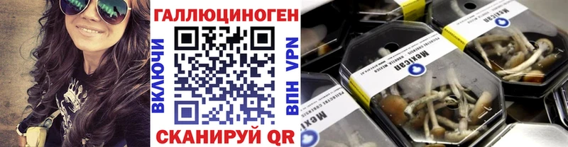 Галлюциногенные грибы MAGIC MUSHROOMS Кулебаки